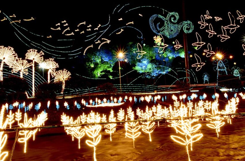  Ya huele a diciembre: esta es la programación de Navidad en el centro de Medellín